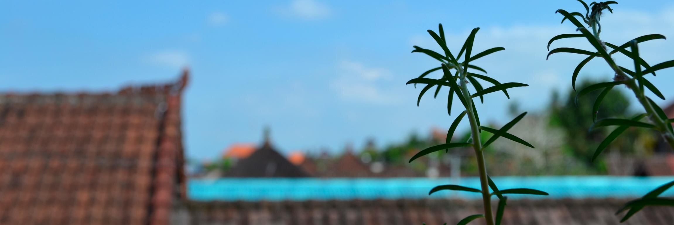 devanrosey's profile banner image