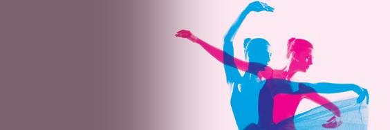sugardanceco's profile banner image