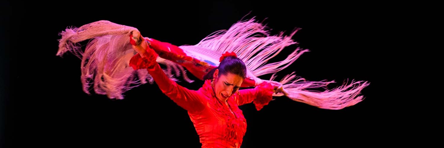 bcnflamenco's profile banner image