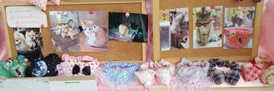 erieri__na's profile banner image