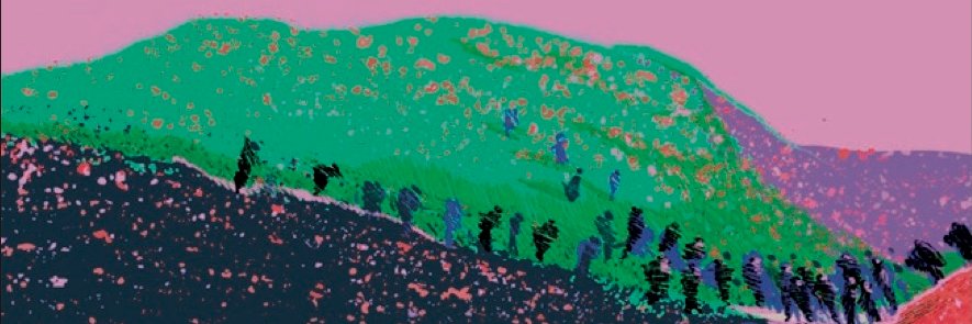 Adele Blazquez banner