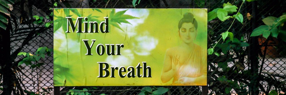 Nishant Bhatta banner
