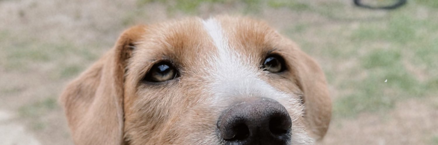 CamiBustelo5's profile banner image