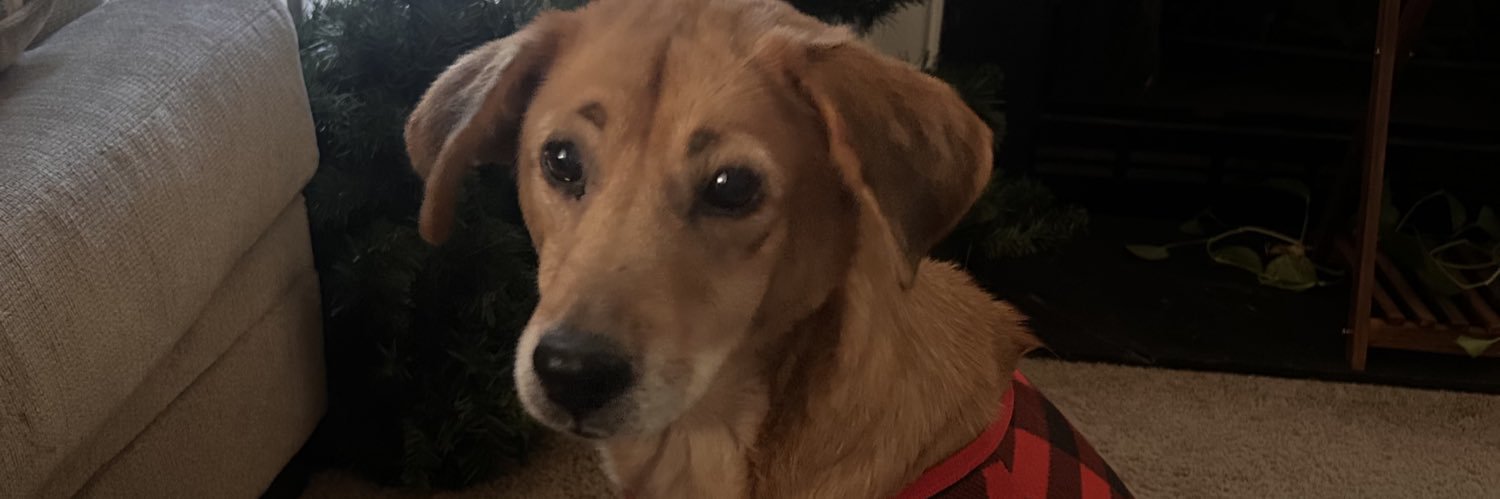 cleva_annette's profile banner image
