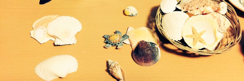 jojora_'s profile banner image