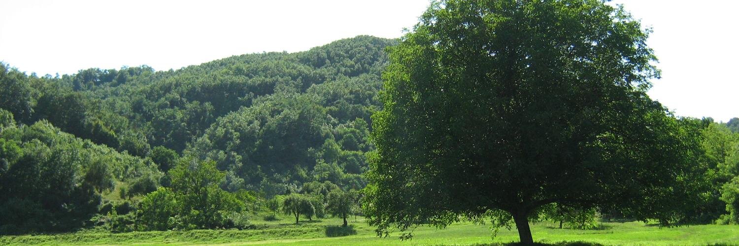 bibifarcry's profile banner image
