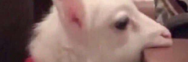 RileyBjerk's profile banner image