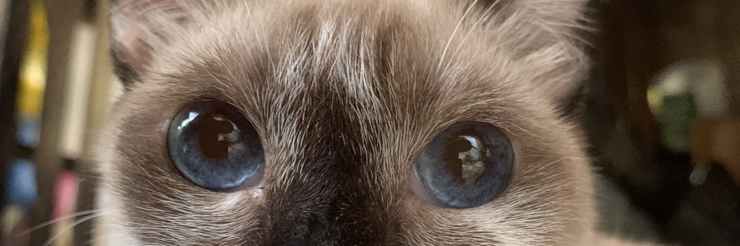 kaylaiaaa's profile banner image