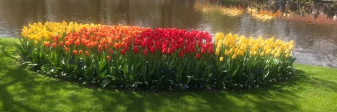 Viviane Umulisa banner