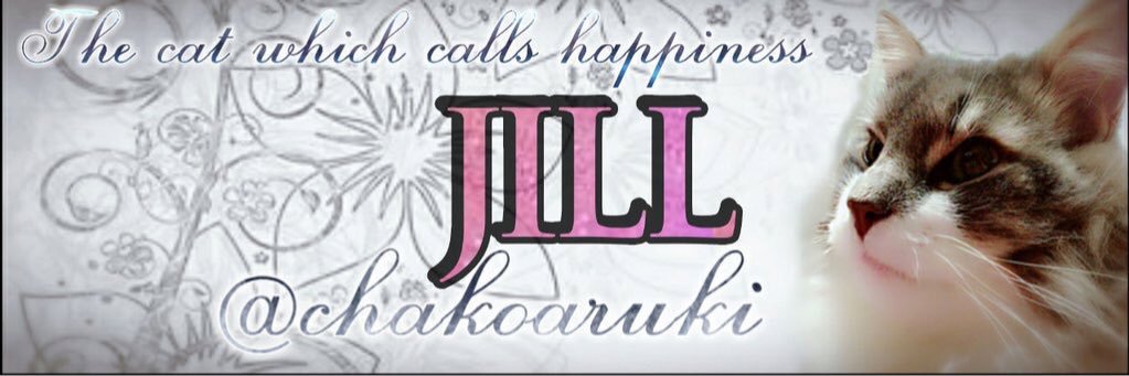 chakoaruki's profile banner image