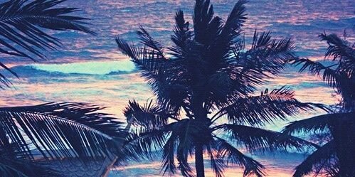 xirisboonstra's profile banner image