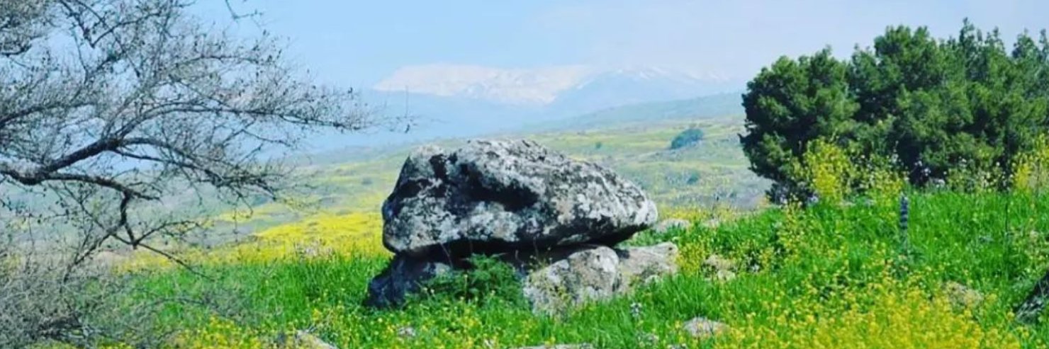 SamuelxMarcus's profile banner image