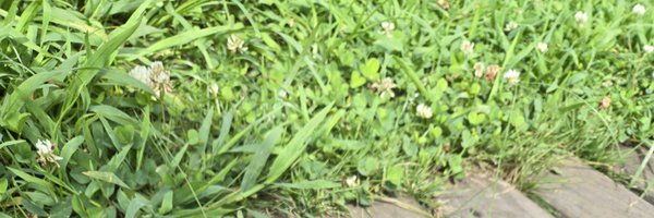 DUXROLL Profile Banner