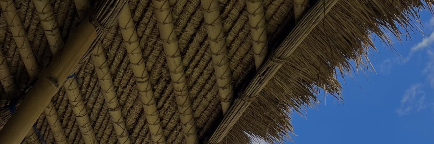 Ciipann banner