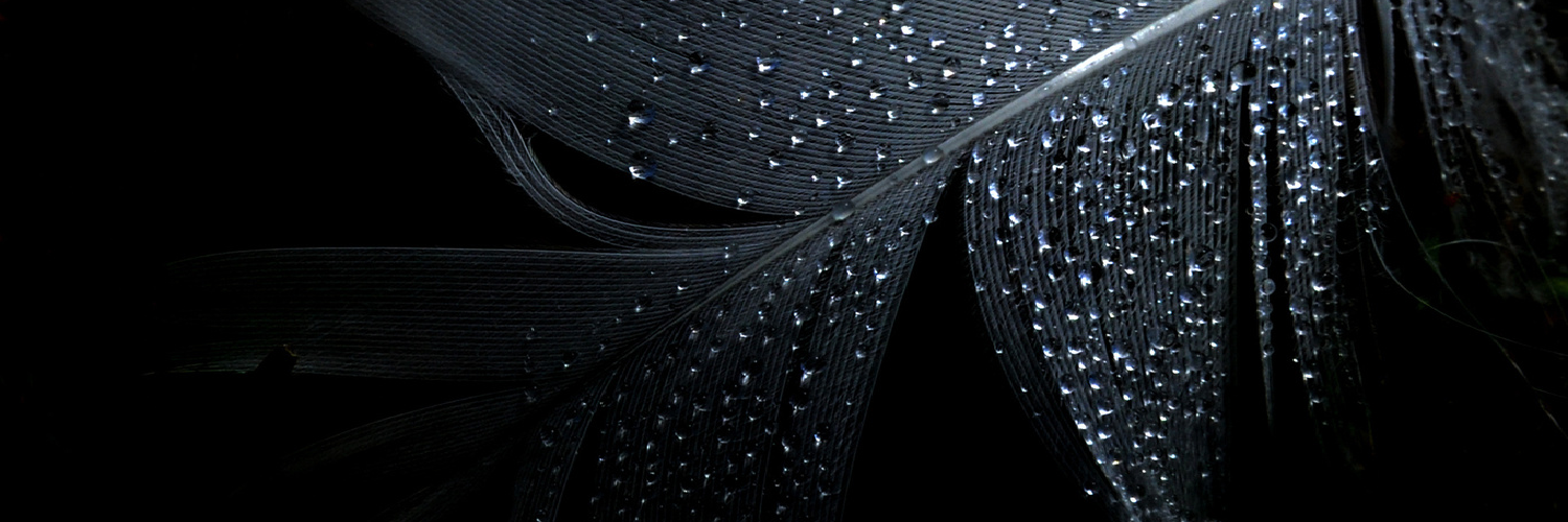 daka_vika's profile banner image