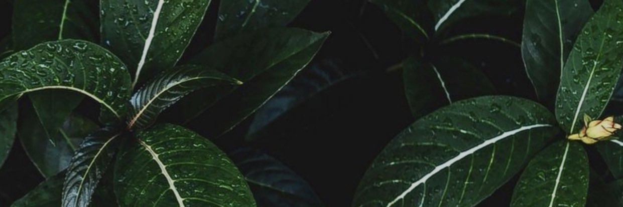 thickassley's profile banner image