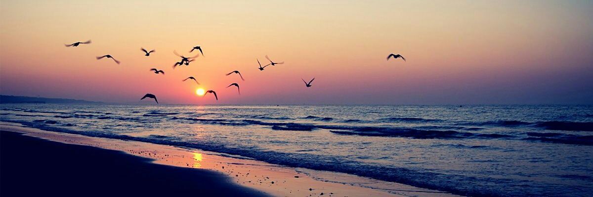 🌻Jennifer🌻 banner