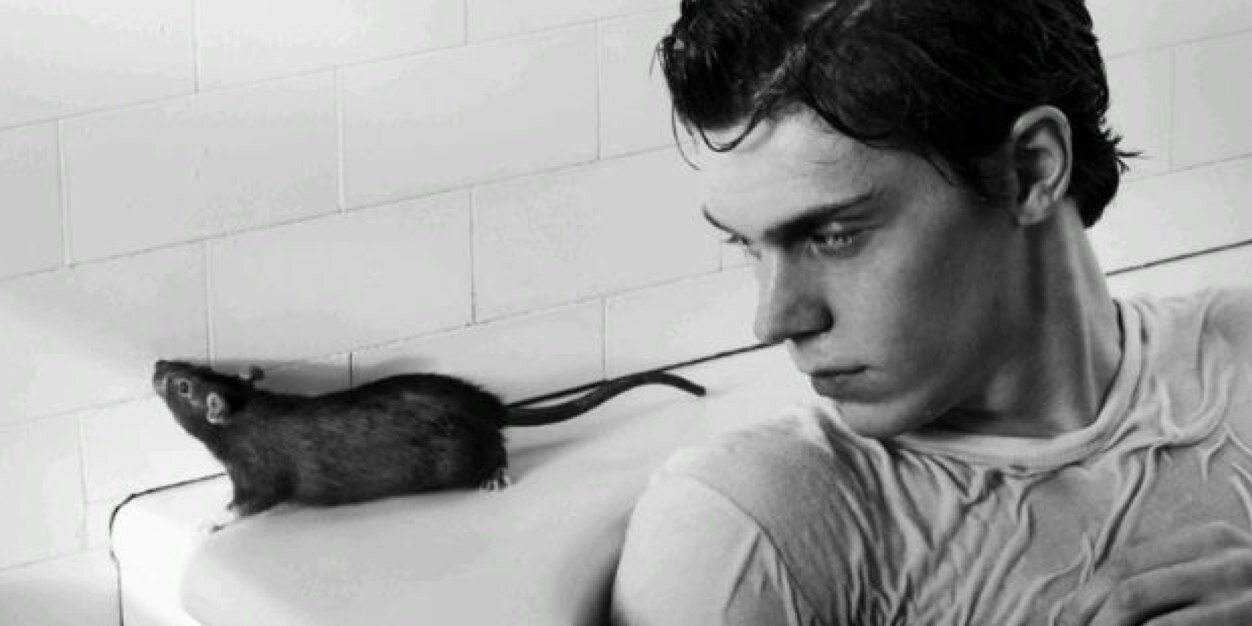 YoungDarkness_'s profile banner image