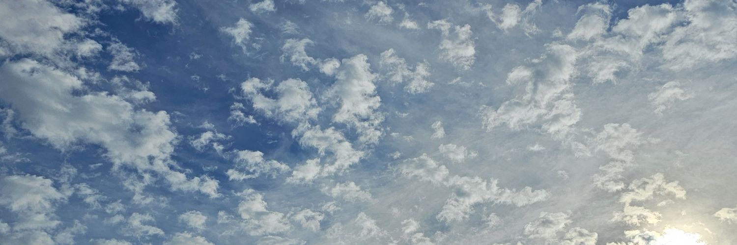 sandra5461's profile banner image