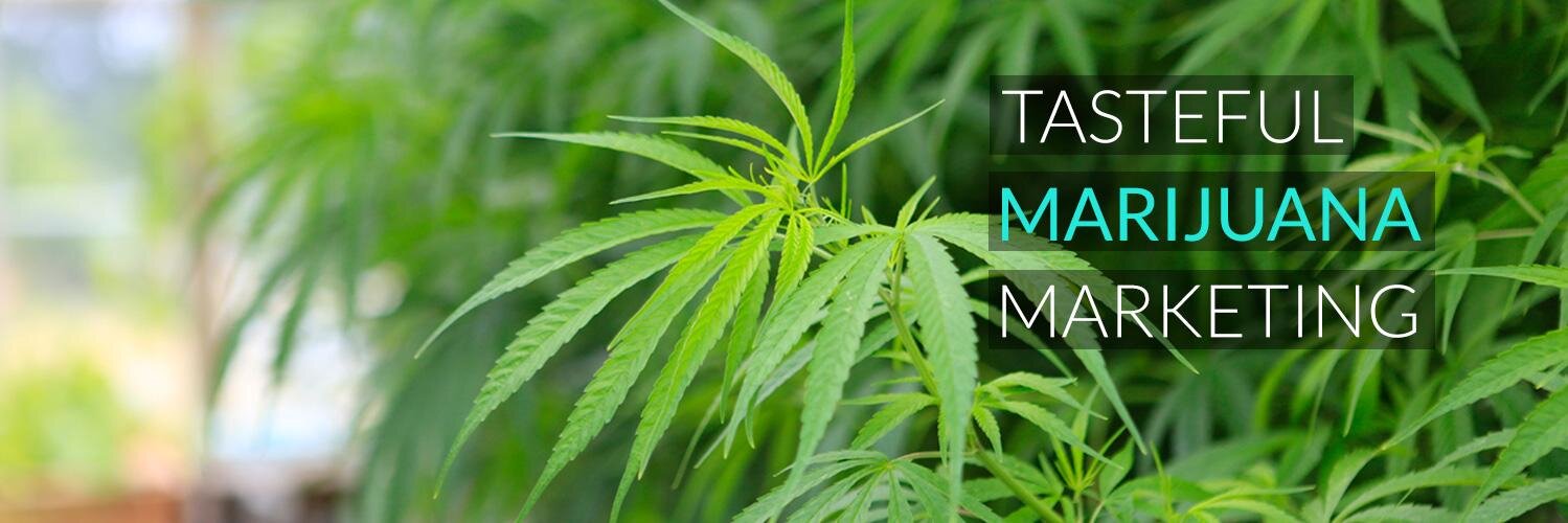 SweetLeafCO's profile banner image