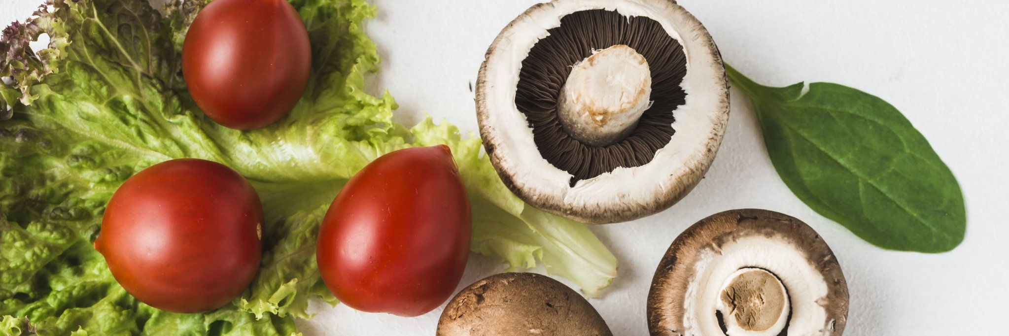 ronutricion's profile banner image