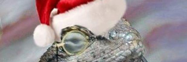 rektbyalizard's profile banner image