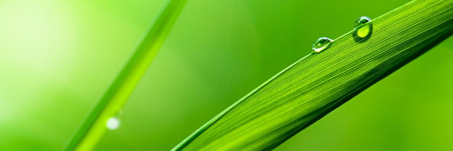 razonambiental's profile banner image