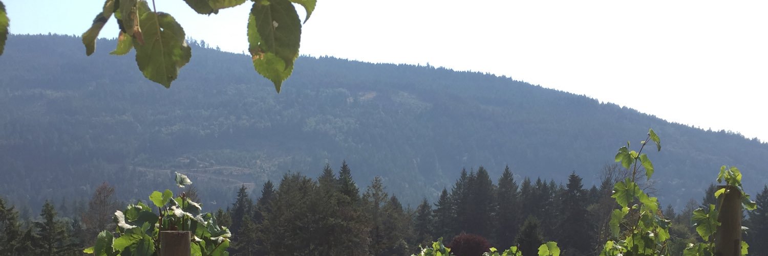 mitch261's profile banner image