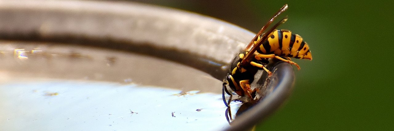 Emma Slawinski banner