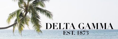 DeltaGamma_NIU's profile banner image