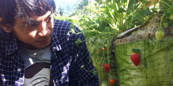 m. Faisal Hady banner