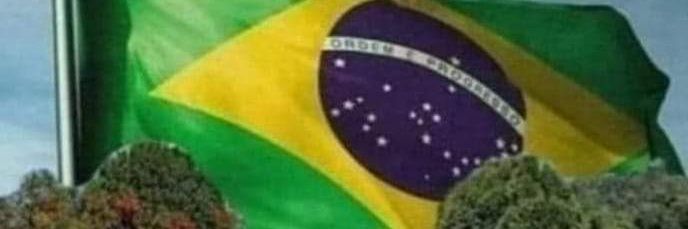 malafaiaorama's profile banner image