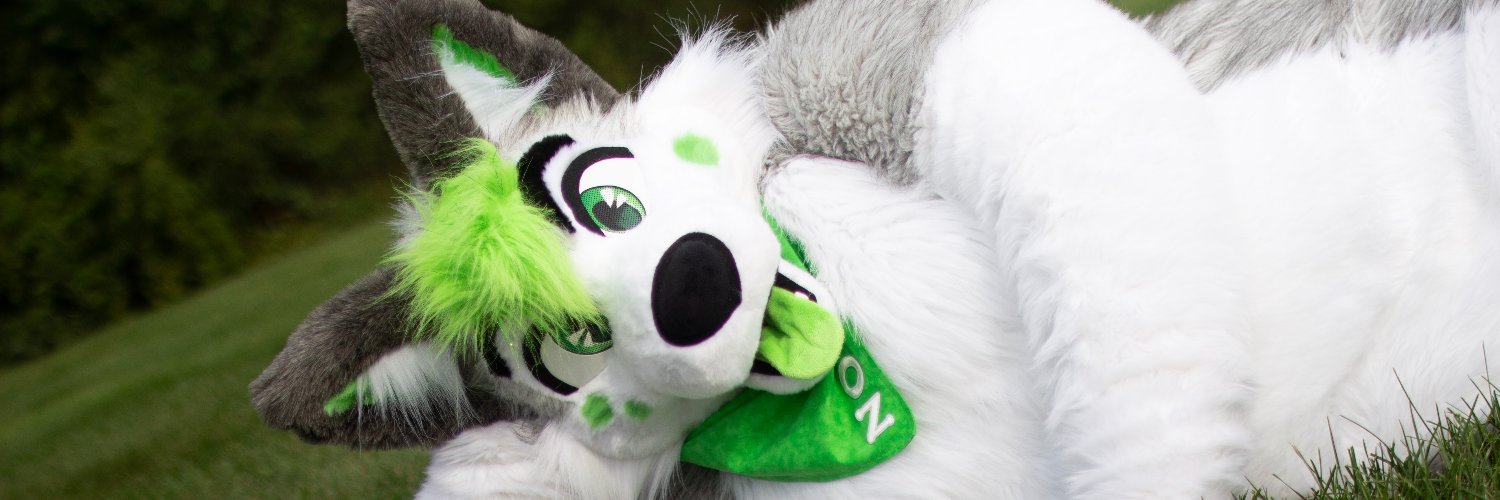 Nox Husky banner