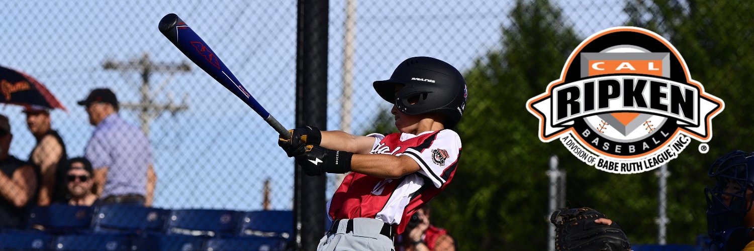 Cal Ripken Baseball banner