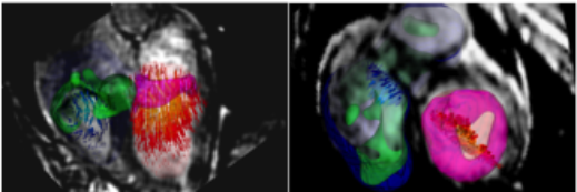 Del Alamo Lab banner