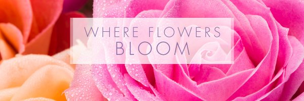 PCFlorist Profile Banner