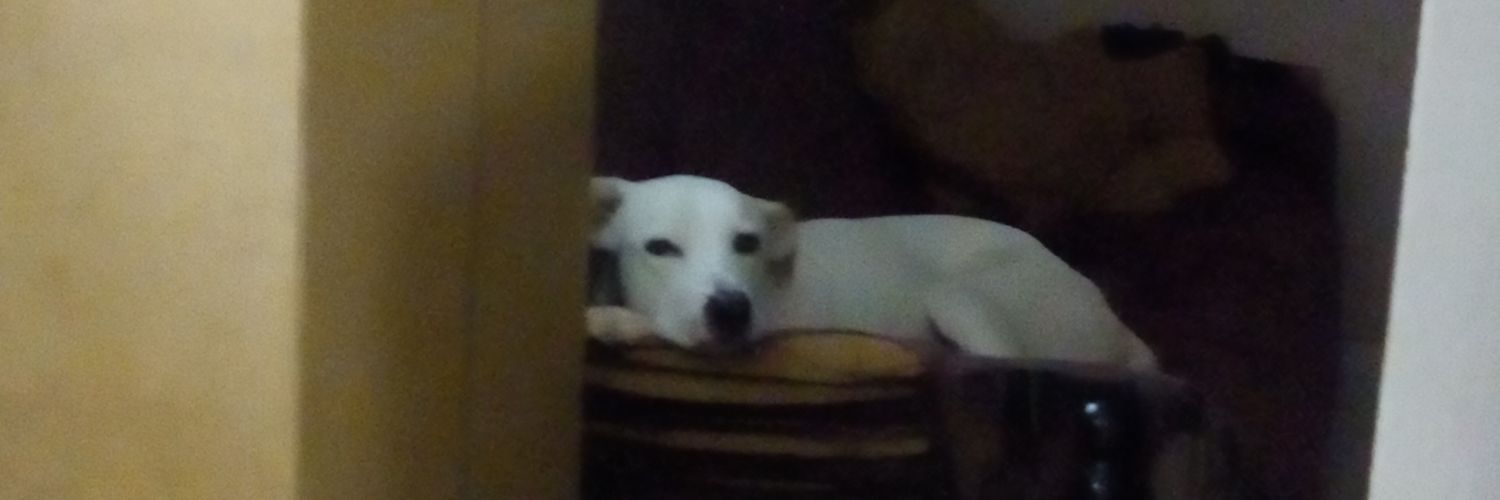 polarsrd's profile banner image