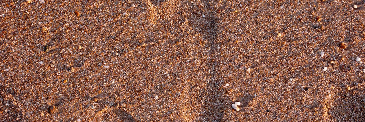 Los cuadernos de Vieco banner