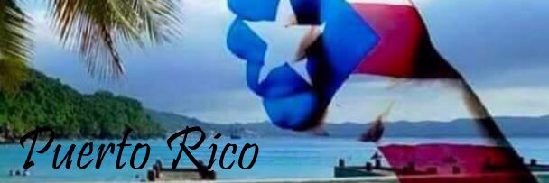 MillieRuiz banner