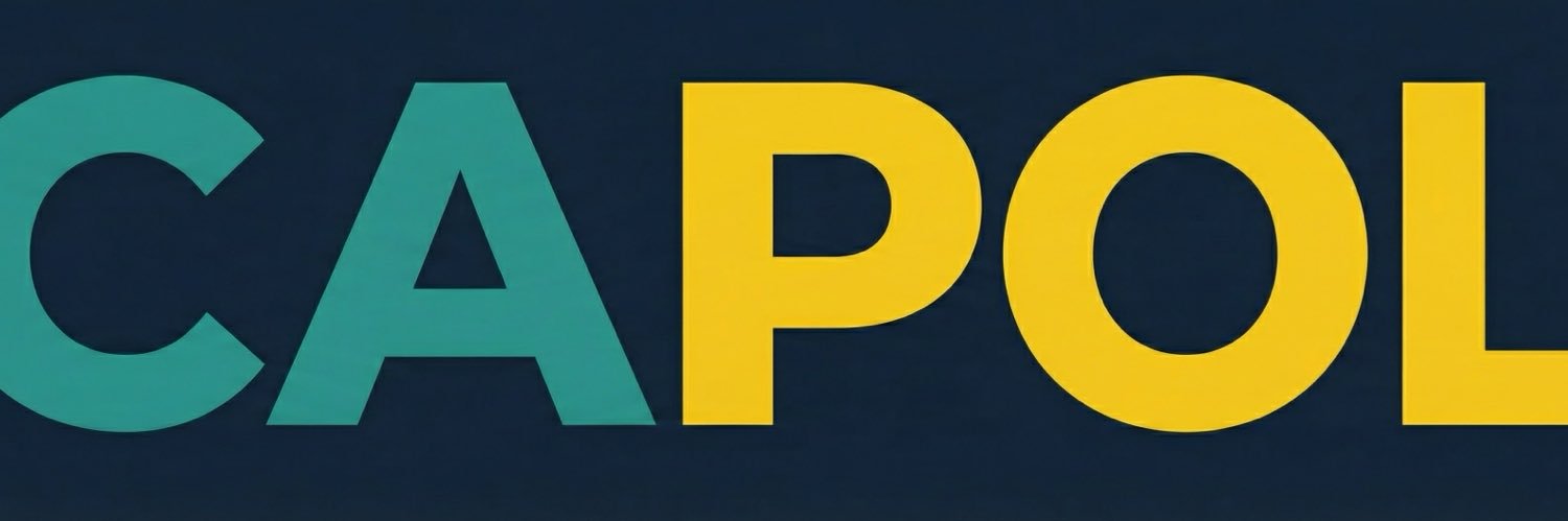CentralAsianPol's profile banner image