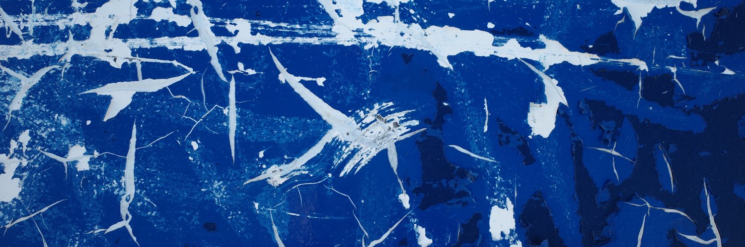 steven j lock banner