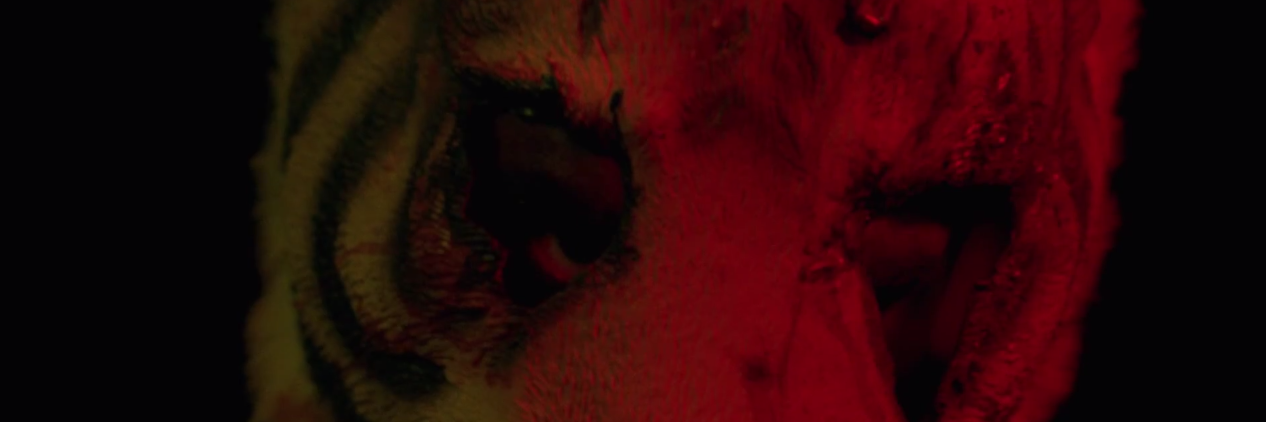 nise8's profile banner image