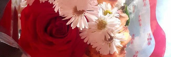 RodsanyCastillo's profile banner image