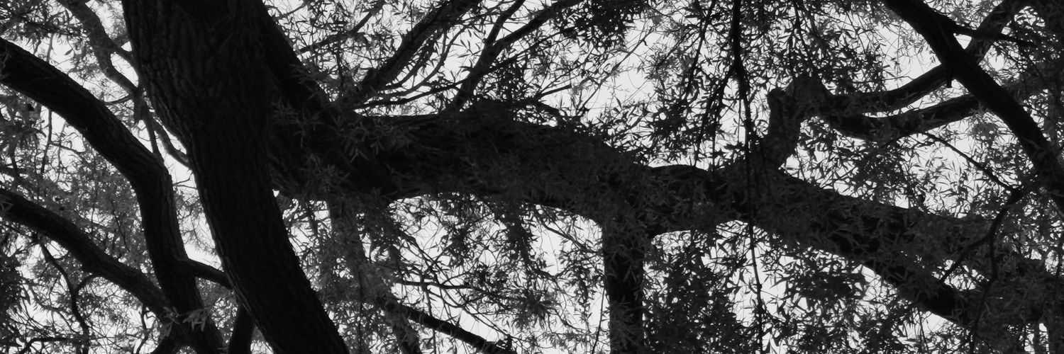 NickJohn_Wilson's profile banner image