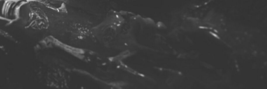 Nybbas_GFX's profile banner image