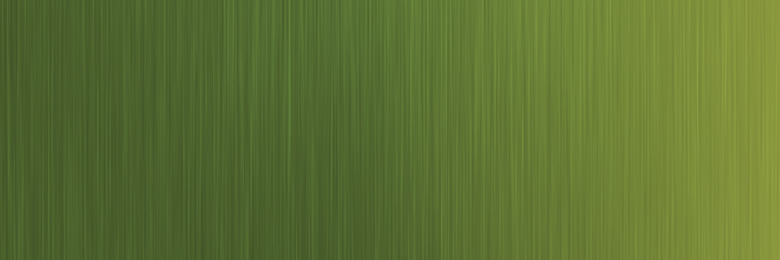 The Continental Zone banner