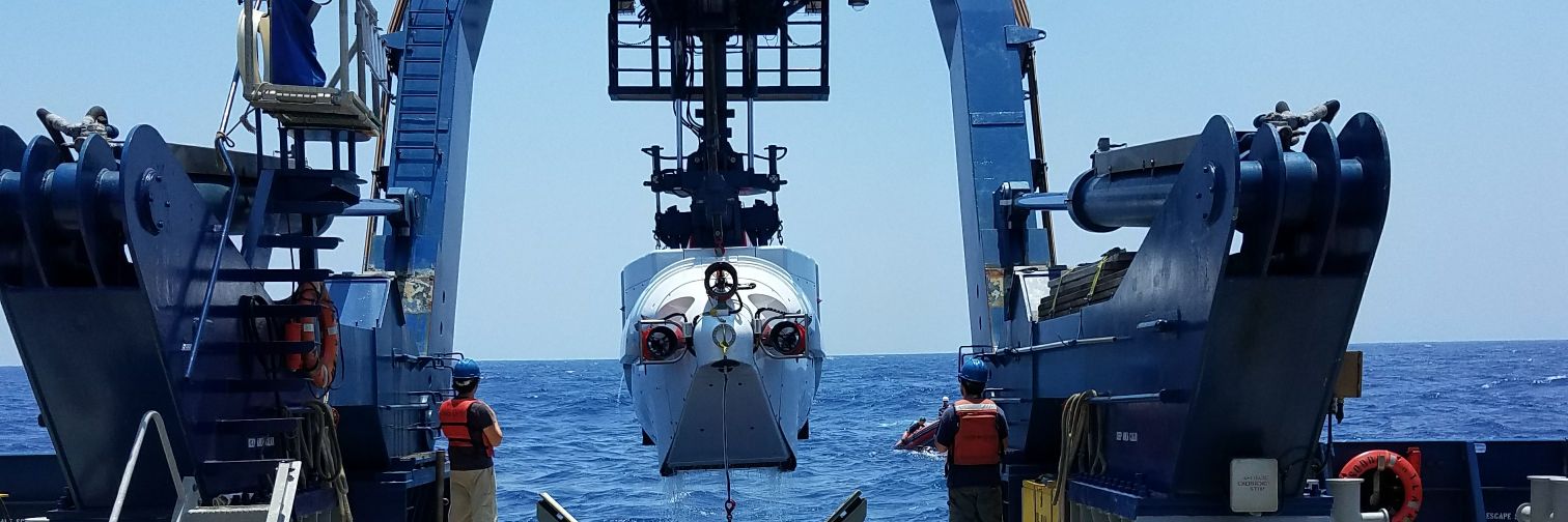 Kristin Yoshimura banner