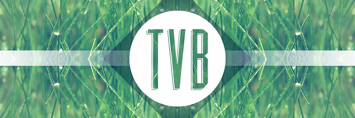 The Visual Brand banner