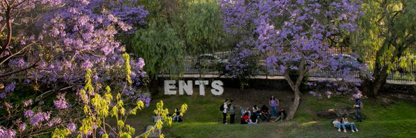ENTSUNAMOficial Profile Banner