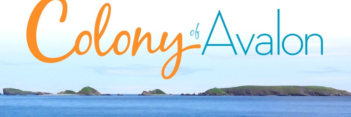ColonyofAvalon's profile banner image